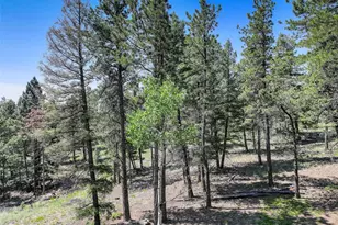 1002 Indian Creek Rd, Florissant, CO 80816 - Photo 10