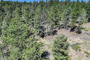 1002 Indian Creek Rd, Florissant, CO 80816 - Photo 18