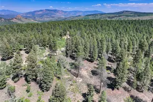 1002 Indian Creek Rd, Florissant, CO 80816 - Photo 22