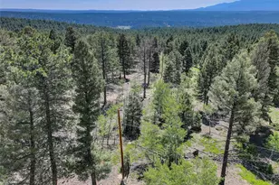1002 Indian Creek Rd, Florissant, CO 80816 - Photo 14
