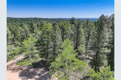1002 Indian Creek Road, Florissant, CO 80816 - Photo 28