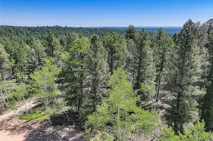 1002 Indian Creek Rd, Florissant, CO 80816 - Photo 28