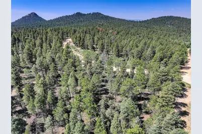 1002 Indian Creek Road, Florissant, CO 80816 - Photo 26