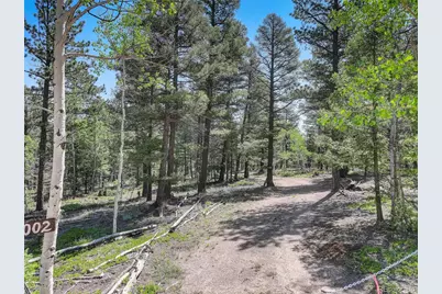 1002 Indian Creek Road, Florissant, CO 80816 - Photo 12