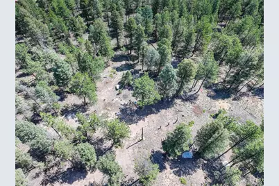 1002 Indian Creek Road, Florissant, CO 80816 - Photo 20