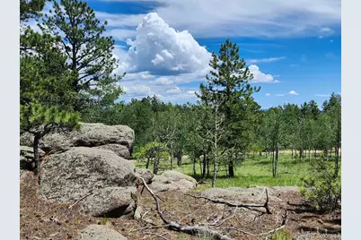 501 Cr-403, Florissant, CO 80816 - Photo 8