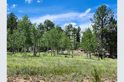 501 Cr-403, Florissant, CO 80816 - Photo 2