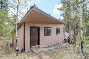 28251 Shadow Mountain Dr, Conifer, CO 80433 - Photo 38