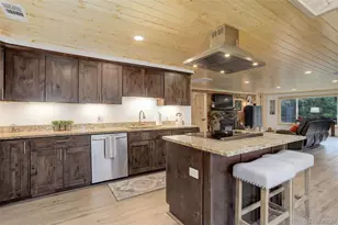 28251 Shadow Mountain Dr, Conifer, CO 80433 - Photo 14