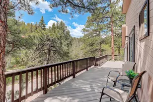28251 Shadow Mountain Dr, Conifer, CO 80433 - Photo 36