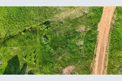 Lot 112 Will Scarlet, Divide, CO 80814 - Photo 16