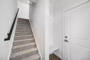 11964 Soprano Trail, Lone Tree, CO 80134 - Photo 24