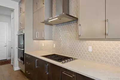 1173 Lost Elk Circle, Castle Rock, CO 80108 - Photo 12