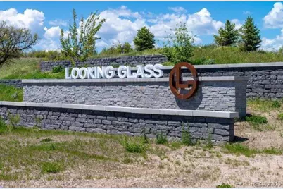 13733 Daffodil Point, Parker, CO 80134 - Photo 38