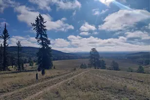 1167 Latigo Loop, Hartsel, CO 80449 - Photo 24