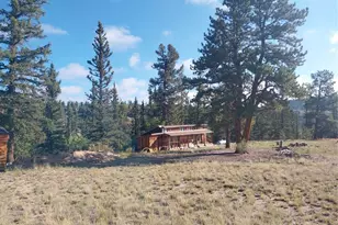 1167 Latigo Loop, Hartsel, CO 80449 - Photo 26