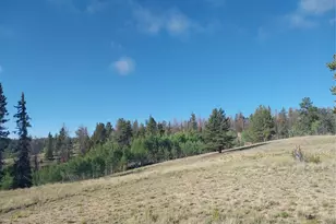 1167 Latigo Loop, Hartsel, CO 80449 - Photo 20