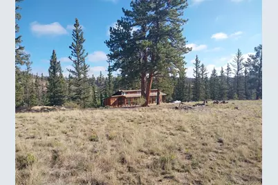 1167 Latigo Loop, Hartsel, CO 80449 - Photo 2