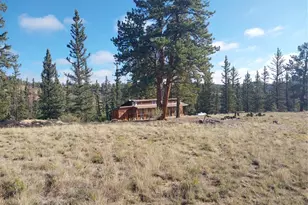 1167 Latigo Loop, Hartsel, CO 80449 - Photo 2