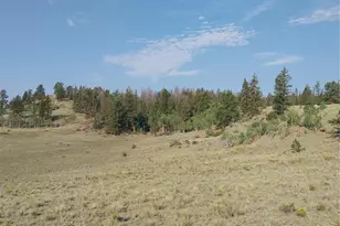 1167 Latigo Loop, Hartsel, CO 80449 - Photo 16