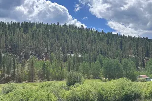 606 N Random Rd, Bailey, CO 80421 - Photo 12