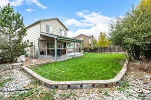 4381 E Andover Ave, Castle Rock, CO 80104 - Photo 42