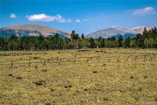 653 Vine Rd, Fairplay, CO 80440 - Photo 6