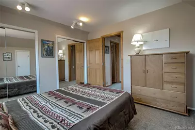 653 Vine Road, Fairplay, CO 80440 - Photo 32