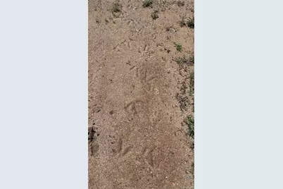 17222 Little Shadow Trail, Littleton, CO 80127 - Photo 6