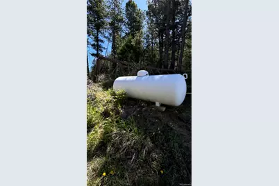 17222 Little Shadow Trail, Littleton, CO 80127 - Photo 4