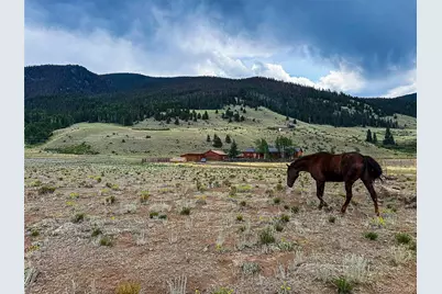 206 La Font Drive, Creede, CO 81130 - Photo 2