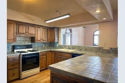 206 La Font Drive, Creede, CO 81130 - Photo 4