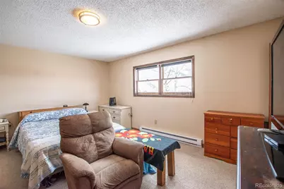 206 La Font Drive, Creede, CO 81130 - Photo 14