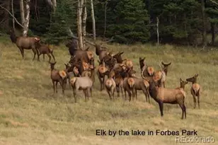 2354 Benton Pl, Fort Garland, CO 81133 - Photo 1