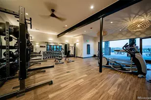 8507 Hotchkiss Loop, Littleton, CO 80125 - Photo 44