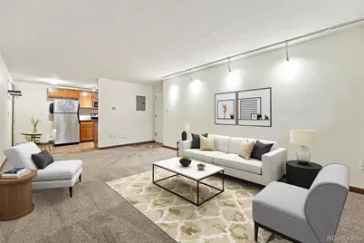 1045 N Clarkson Street #102, Denver, CO 80218 - Photo 2
