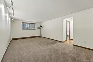 1045 N Clarkson St, Denver, CO 80218 - Photo 10