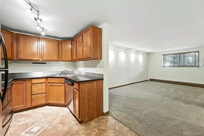 1045 N Clarkson Street #102, Denver, CO 80218 - Photo 8