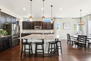 6883 Mentha Dr, Castle Rock, CO 80108 - Photo 12