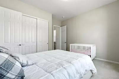 6883 Mentha Drive, Castle Rock, CO 80108 - Photo 34