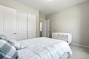 6883 Mentha Dr, Castle Rock, CO 80108 - Photo 34
