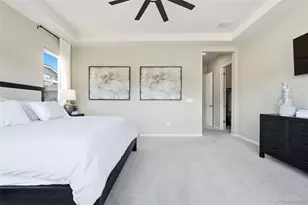 6883 Mentha Dr, Castle Rock, CO 80108 - Photo 30