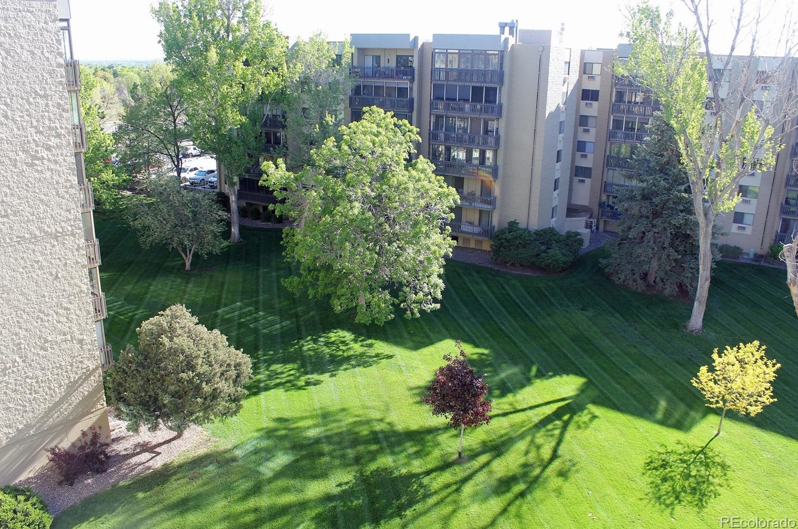 14050 Linvale Pl, Denver CO  80014-3745 exterior