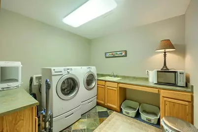 4820 Silver Pine Drive, Castle Rock, CO 80108 - Photo 38