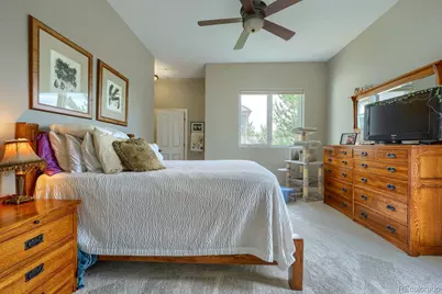 4820 Silver Pine Drive, Castle Rock, CO 80108 - Photo 30