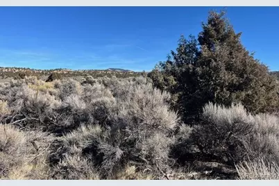 Lot 1784 Bateman Road, Fort Garland, CO 81133 - Photo 12