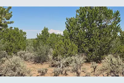 Lot 1615 Dunn Road, San Luis, CO 81152 - Photo 16