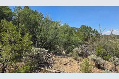 Lot 1615 Dunn Road, San Luis, CO 81152 - Photo 6