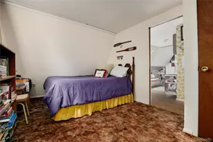 63 Welsh Cob Ln, Jefferson, CO 80456 - Photo 20