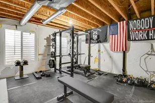 3742 Dinosaur St, Castle Rock, CO 80109 - Photo 28